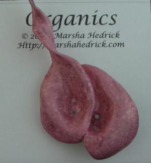 Organics -- Folded