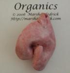 Organics -- Folded
