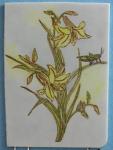 Lilies with Grasshopper Plaque