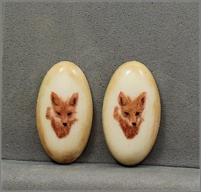 Foxes -- Pair